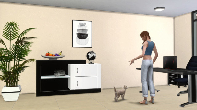 TS4-x64-2020-05-11-00-41-11.jpg