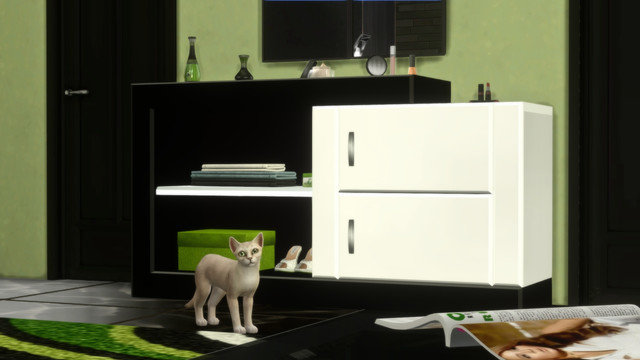 TS4-x64-2020-05-10-22-32-56.jpg