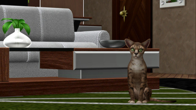 TS4-Sonic-0468.jpg