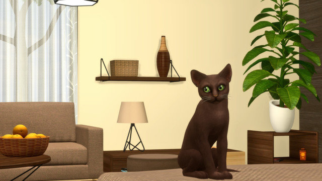 TS4-x64-2020-05-15-23-47-37.jpg