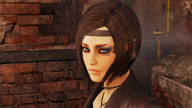 Fallout4-2019-01-31-20-59-38.png