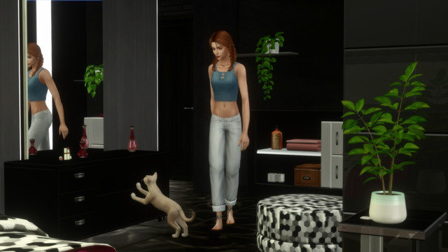TS4-x64-2020-05-10-23-18-40.jpg