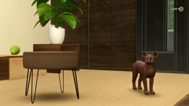 TS4-x64-2020-05-15-23-42-38.jpg