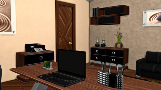 TS4-Sonic-0524.jpg