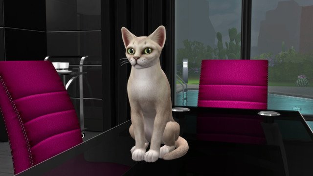 TS4-x64-2020-05-10-17-43-21.jpg