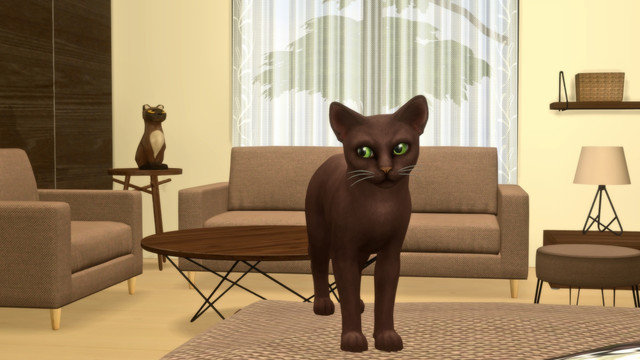 TS4-x64-2020-05-15-23-49-19.jpg