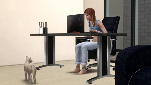 TS4-x64-2020-05-11-00-46-17.jpg