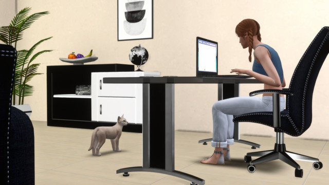 TS4-x64-2020-05-11-00-37-00.jpg