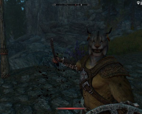 enb-2019-01-28-12-38-16-26.jpg