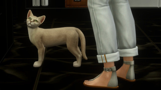 TS4-x64-2020-05-10-23-19-57.jpg