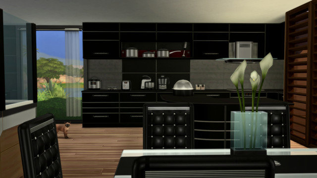 TS4-x64-2020-05-04-00-22-44.jpg