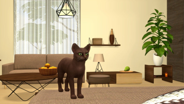 TS4-x64-2020-05-15-23-47-02.jpg