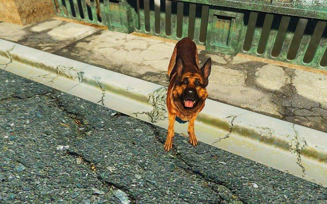 Fallout4-2019-02-11-14-16-36-79.jpg