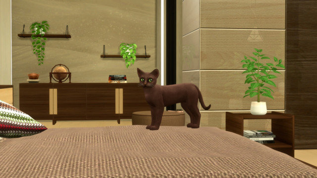 TS4-x64-2020-05-15-23-50-05.jpg