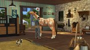 Horse-Ranch-4.jpg