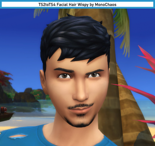 MC_ymFacialHair_TS2Wispy_Cover.png