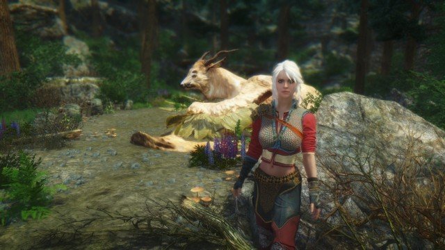 Screen_Shot263.jpg