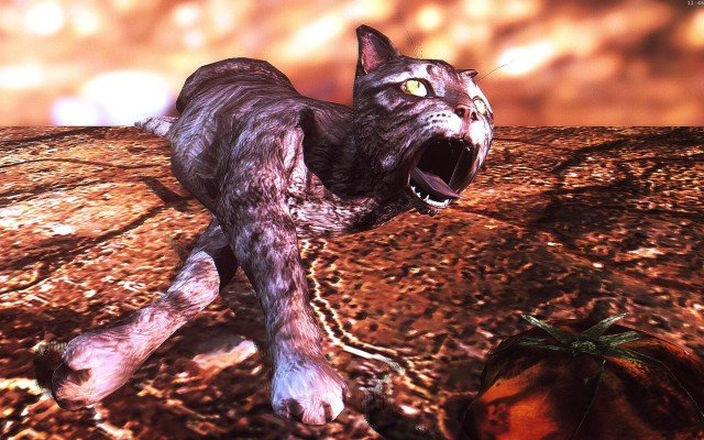 Fallout4_2018_08_22_11_46_44_34.jpg