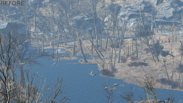 20713-1586236078-893083729.gif