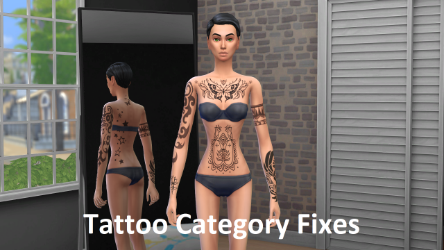 MTS_bessy-2102828-tattoocatfixmain.png