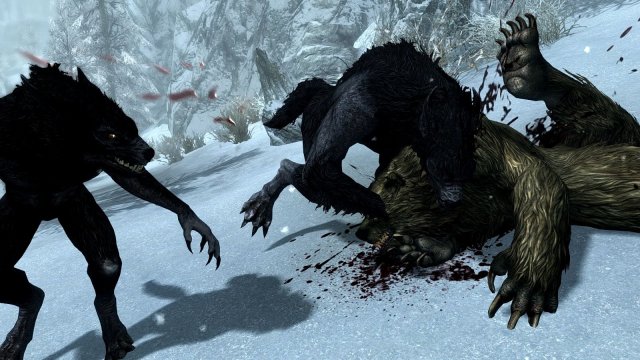 800145848_SkyrimSE2019-11-2822-20-01.thumb.jpg.33f41d2fb5b48566b774bbd462849293.jpg