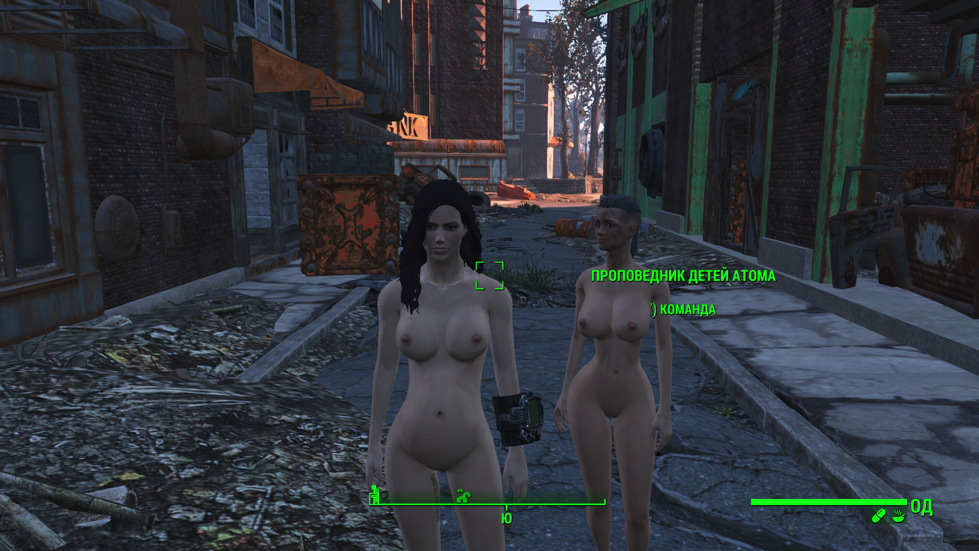 Fallout 4 sexmod