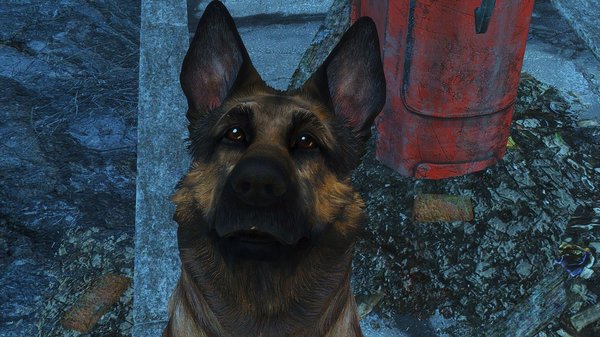 Пёс-Барбос - по Содружеству кросс! Fallout-4 (сборка 6.0)