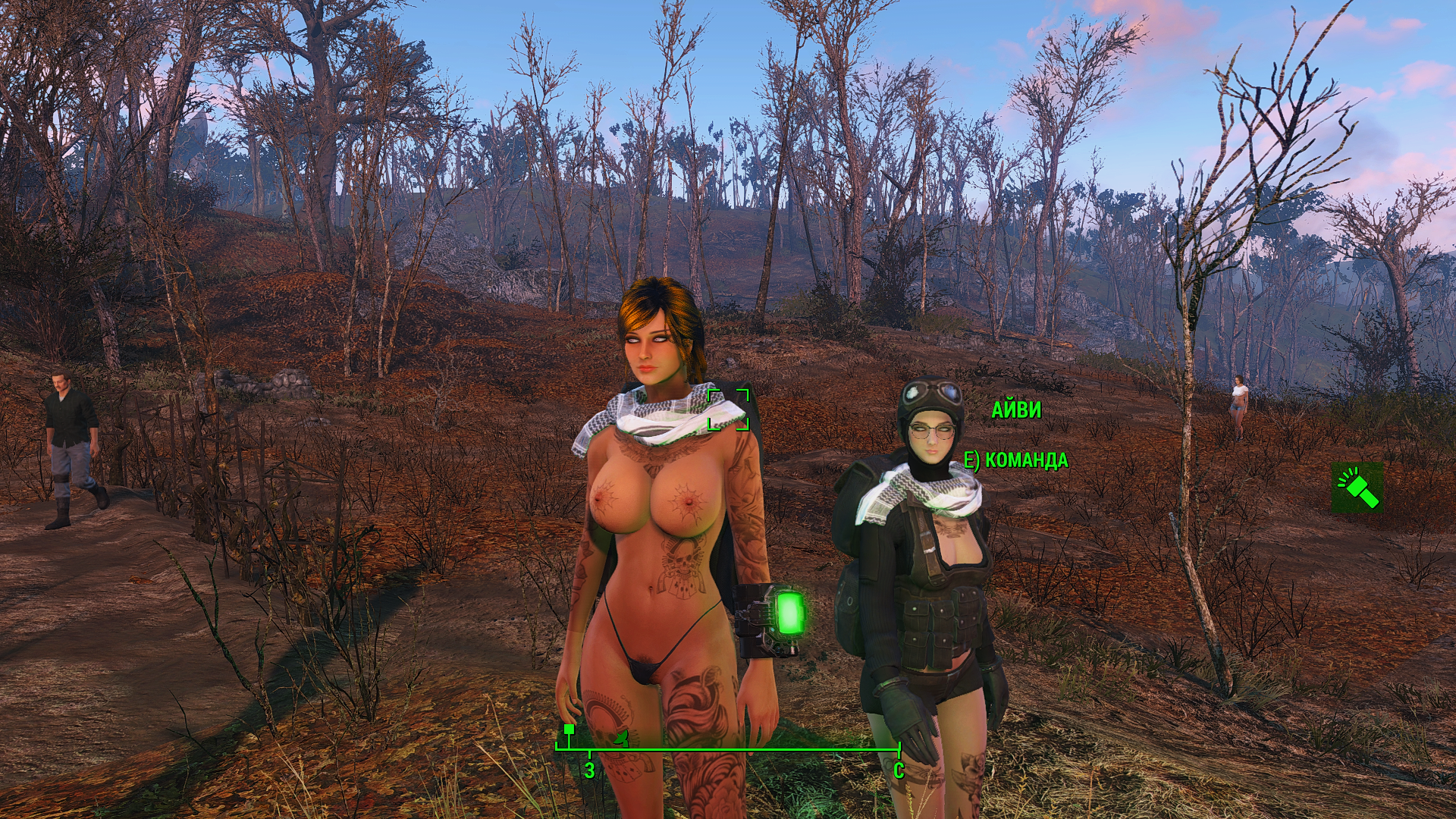 Fallout 4 sex sborka фото 20