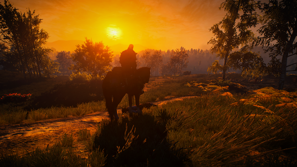The Witcher 3 Screenshot 2020.05.08 - 21.09.50.93.png
