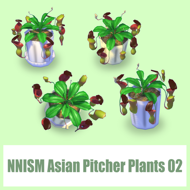 NNISM Asian Pitcher Plants 02. 