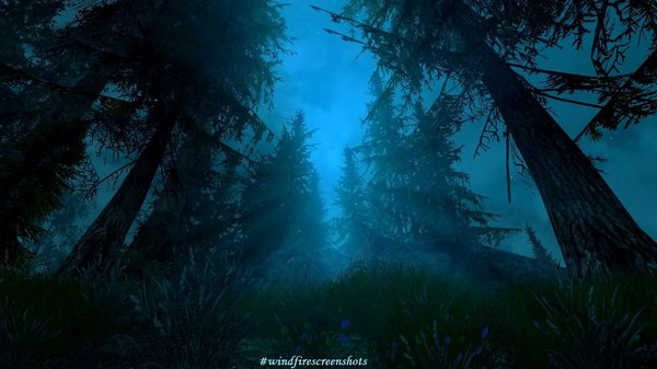 Ночной лес.. SkyrimSE (сборка 6.0)