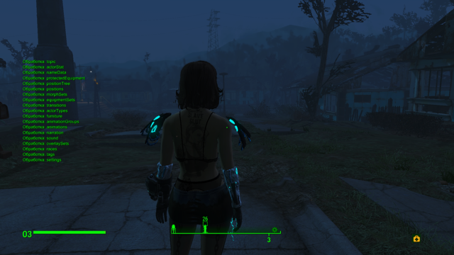 Fallout4 2020-12-14 20-39-06.png