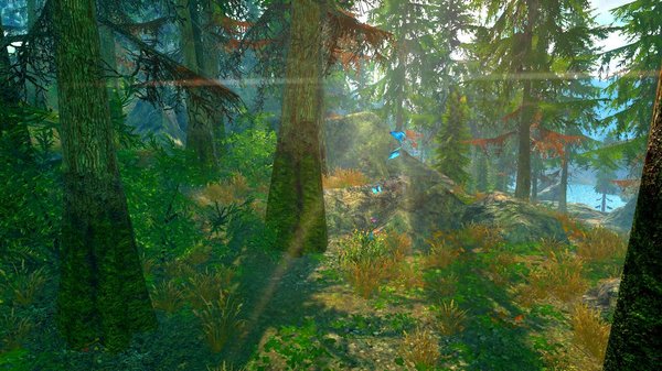 В лесу.. SkyrimSE (сборка 6.0)
