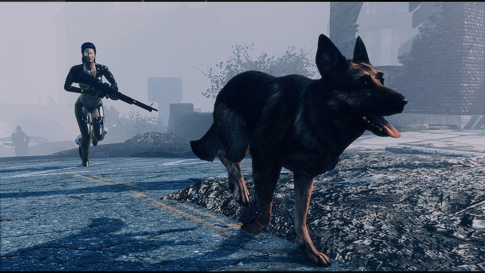 Fallout 4 собака это спутник фото 96