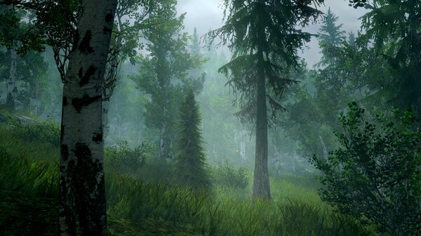 Туманно в лесу.. SkyrimSE (сборка 6.0)