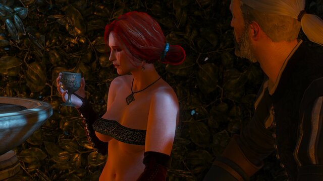 witcher3 2021-08-13 21-51-04-93.jpg