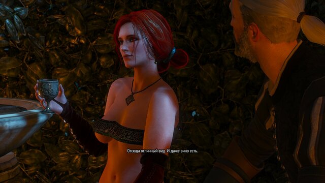 witcher3 2021-08-13 21-50-54-57.jpg