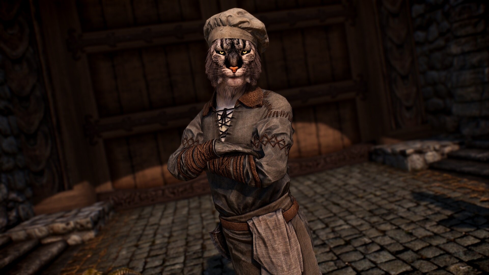 More Kats of Skyrim - Khajiit Followers Mod LE и SE Rus - Обычные моды не  18+ - Adult Mods Localized