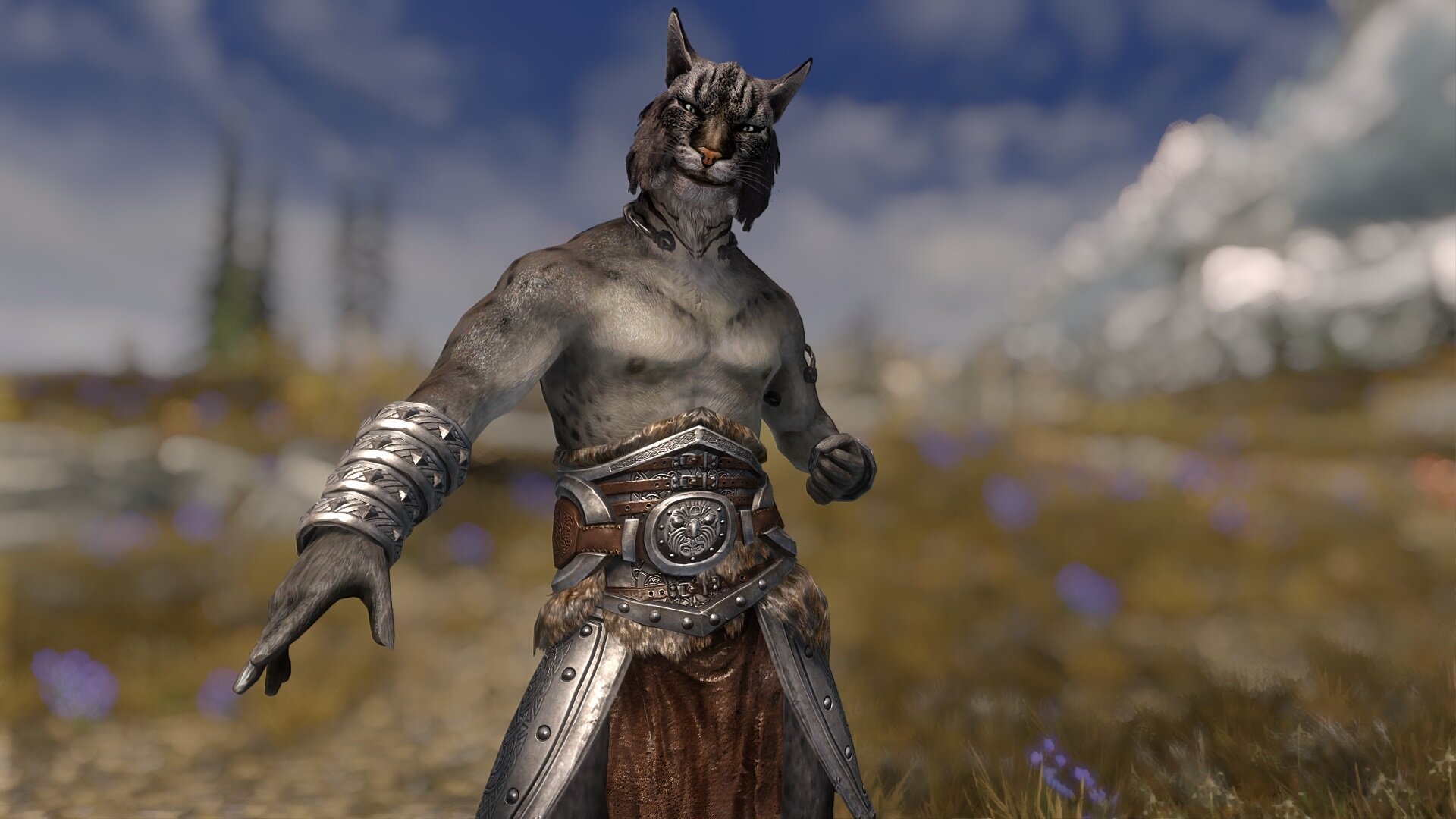 More Kats of Skyrim - Khajiit Followers Mod LE и SE Rus - Обычные моды не  18+ - Adult Mods Localized