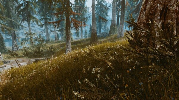 В лесу.. SkyrimSE (сборка 6.0)