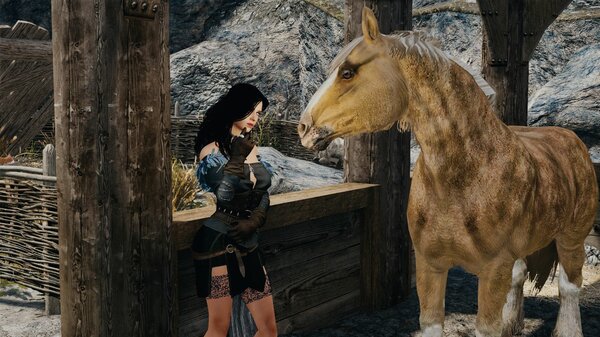 Йеннифер задумалась о покупке коня..