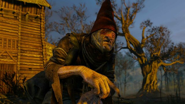 witcher3 2021-12-25 22-13-59-89 ведьма.jpg