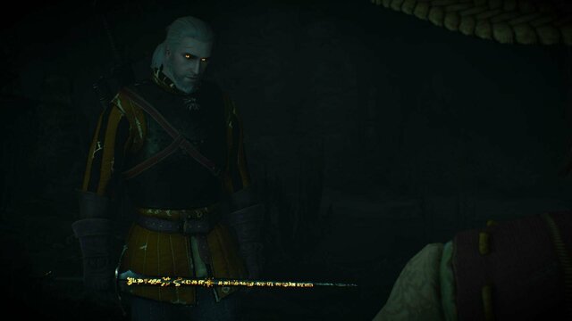 witcher3 2021-12-22 23-01-09-27.jpg