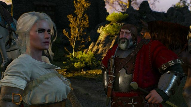 witcher3 2021-12-24 22-25-37-22.jpg