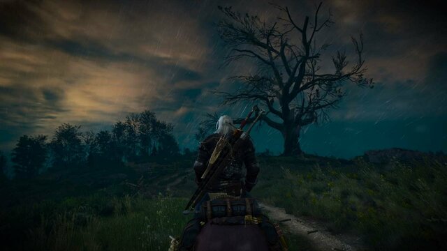 witcher3 2021-12-24 01-22-02-55.jpg