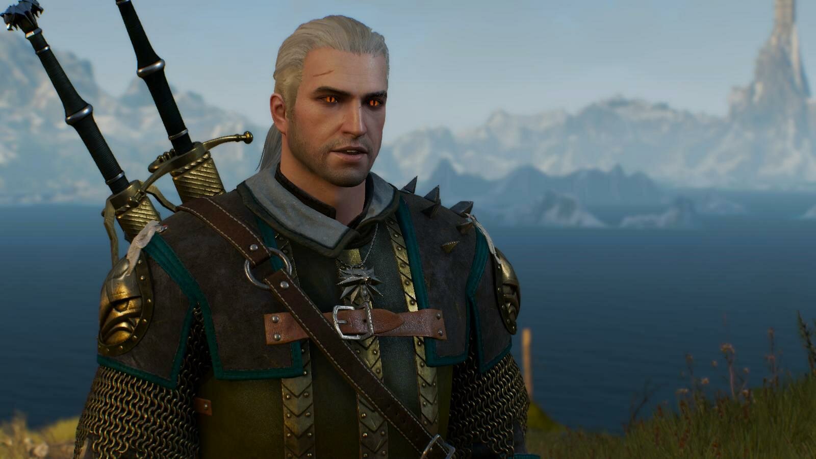 The witcher 3 quest items фото 85