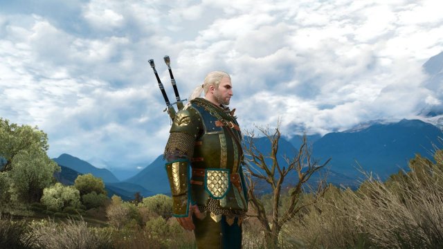 witcher3 2022-02-06 21-13-47-00.jpg