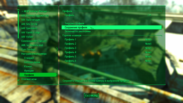 Fallout 4 Screenshot 2022.03.25 - 21.20.14.02.png