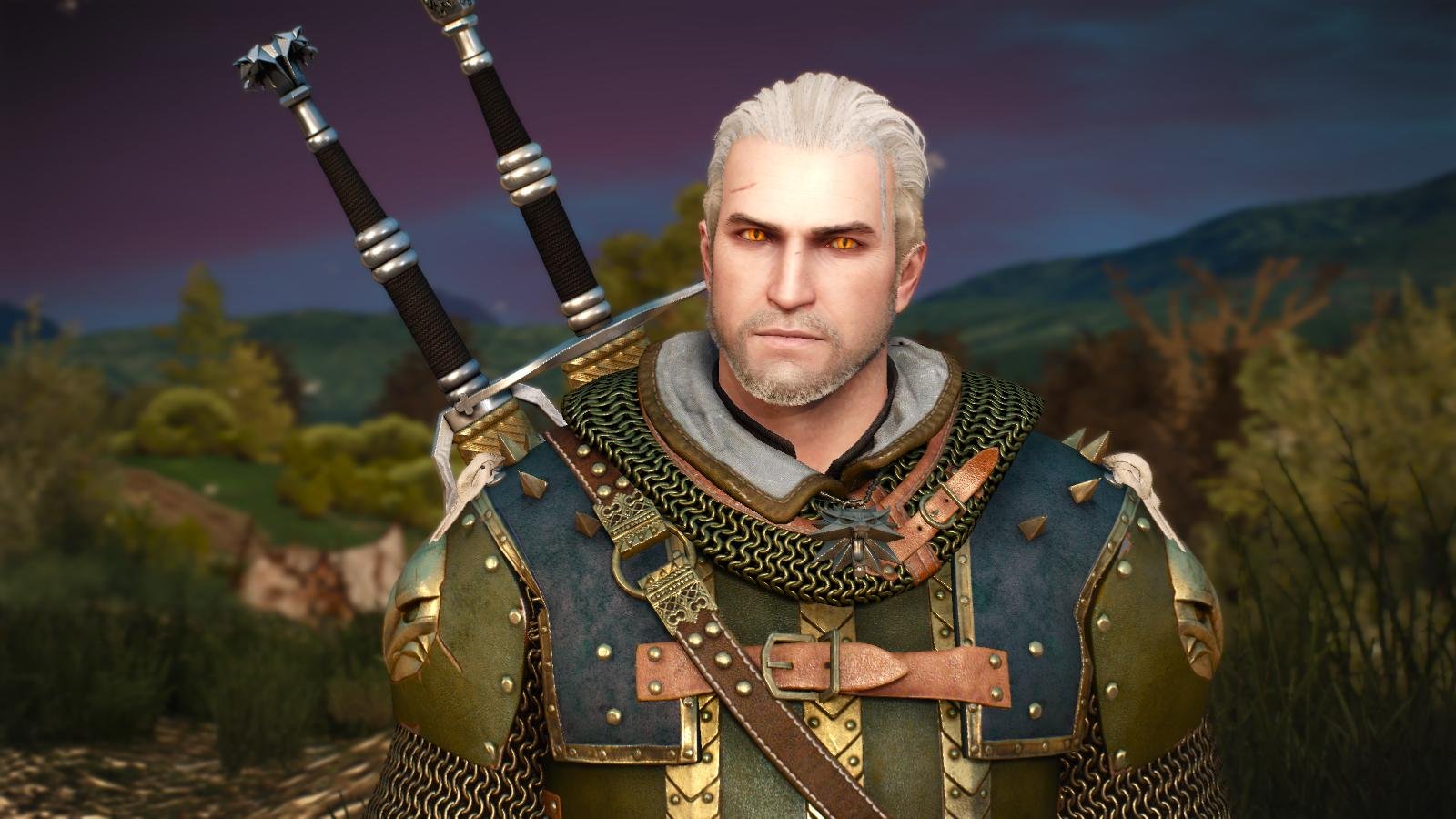 The witcher 2022