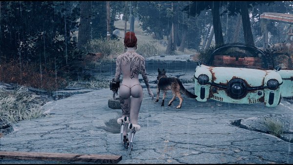 На прогулке с псиной.. Fallout-4 (Сборка 7.5)